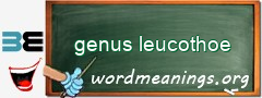 WordMeaning blackboard for genus leucothoe